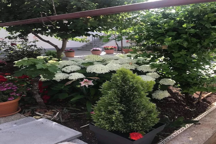 Apartments Villa Tanja - Two Bedroom Apartment with Terrace-Gardens in summer