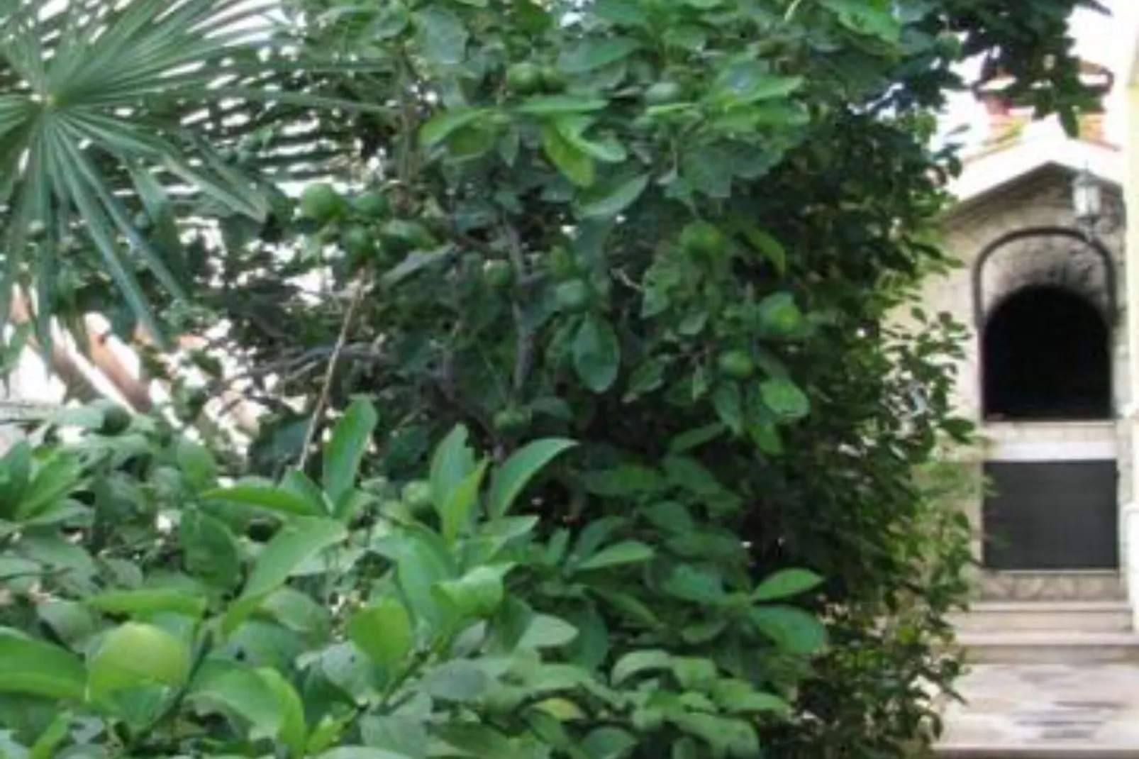 Apartments Milakovic-Kanica - Standard  One Bedroom Apartment with Sea View and Terrace (BR. 2)-Extérieur