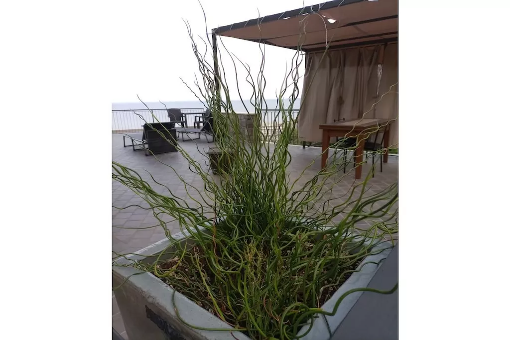 573431-Nicht zugeordnet