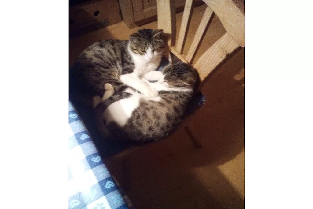 68734-Nicht zugeordnet