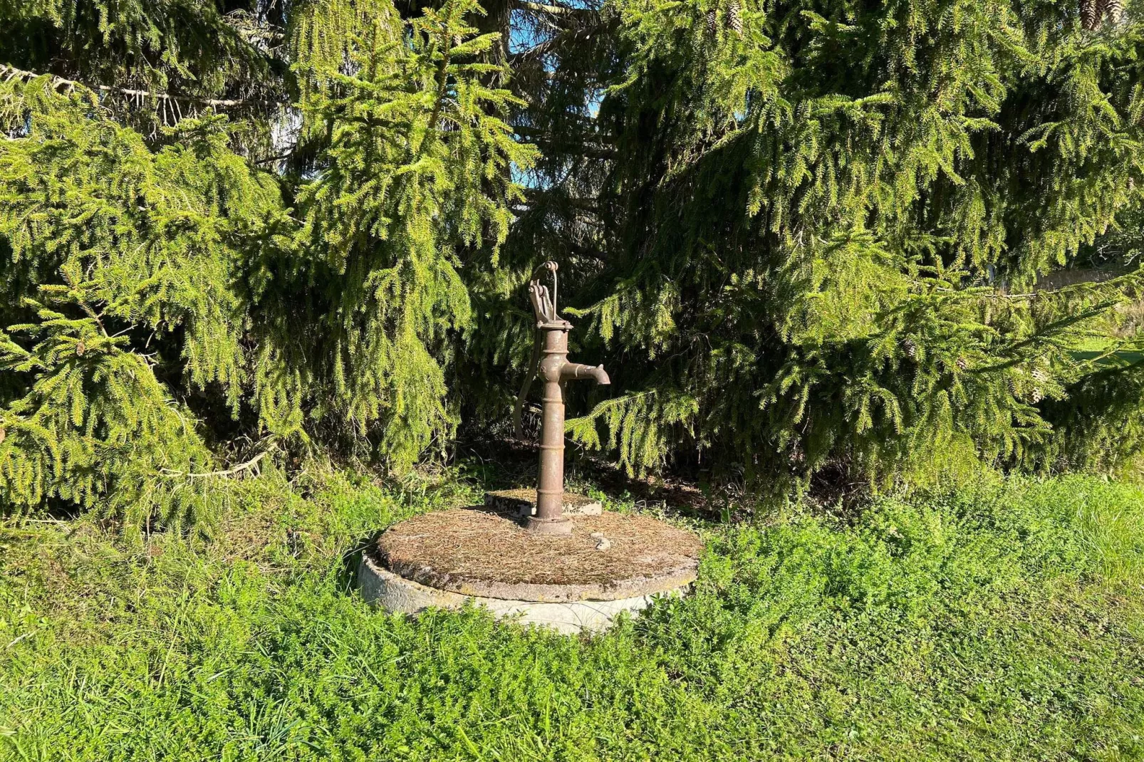 5 Personen Ferienhaus in ADELSÖ-Im Freien