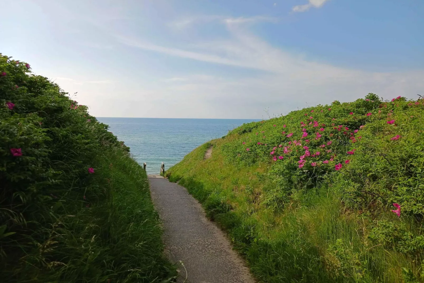 5 star holiday home in Vejby-Outdoor