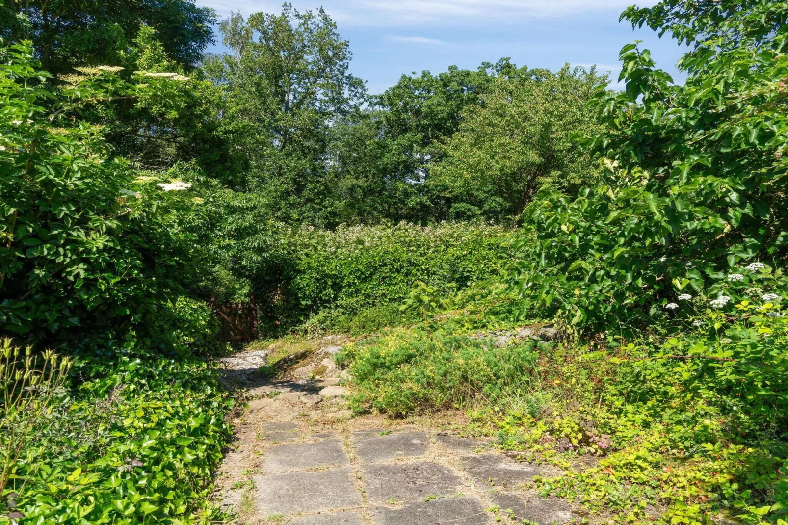 5 star holiday home in Svaneke-Outdoor