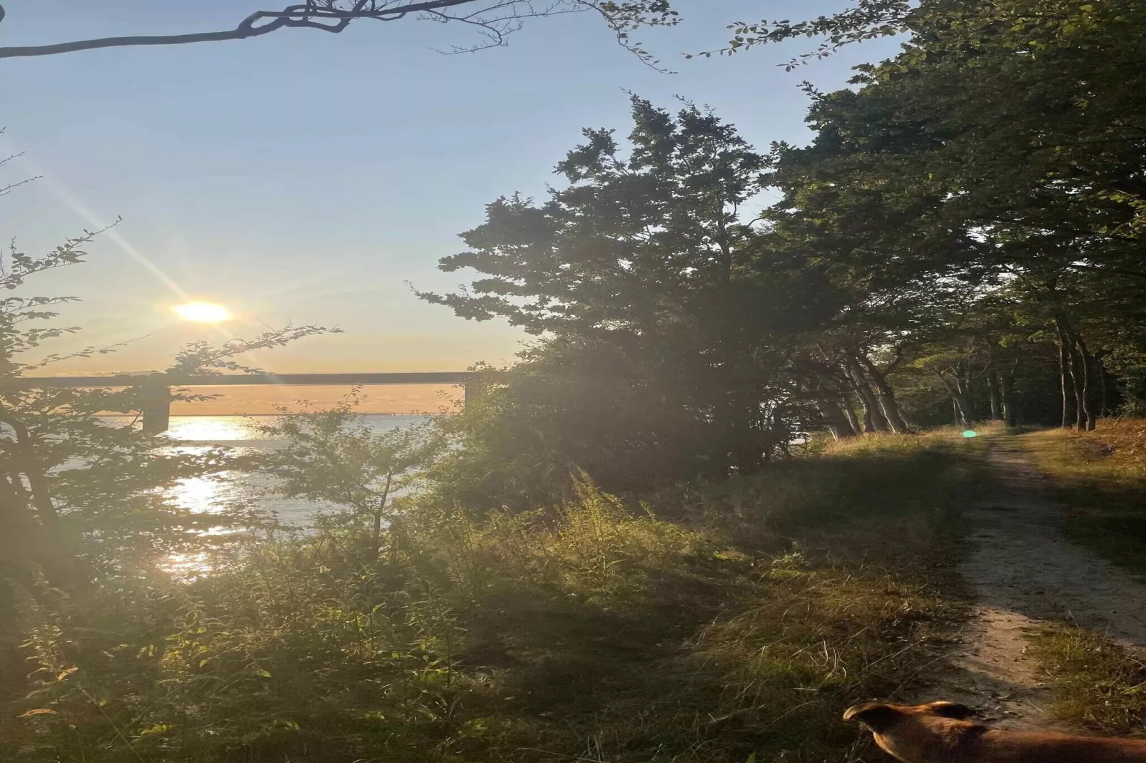 5 star holiday home in Vordingborg-Untagged