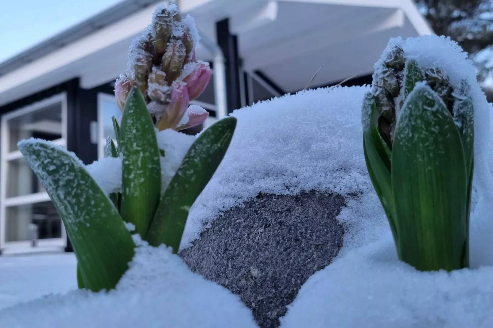 5 etoiles maison de vacances a Højby-Extérieur