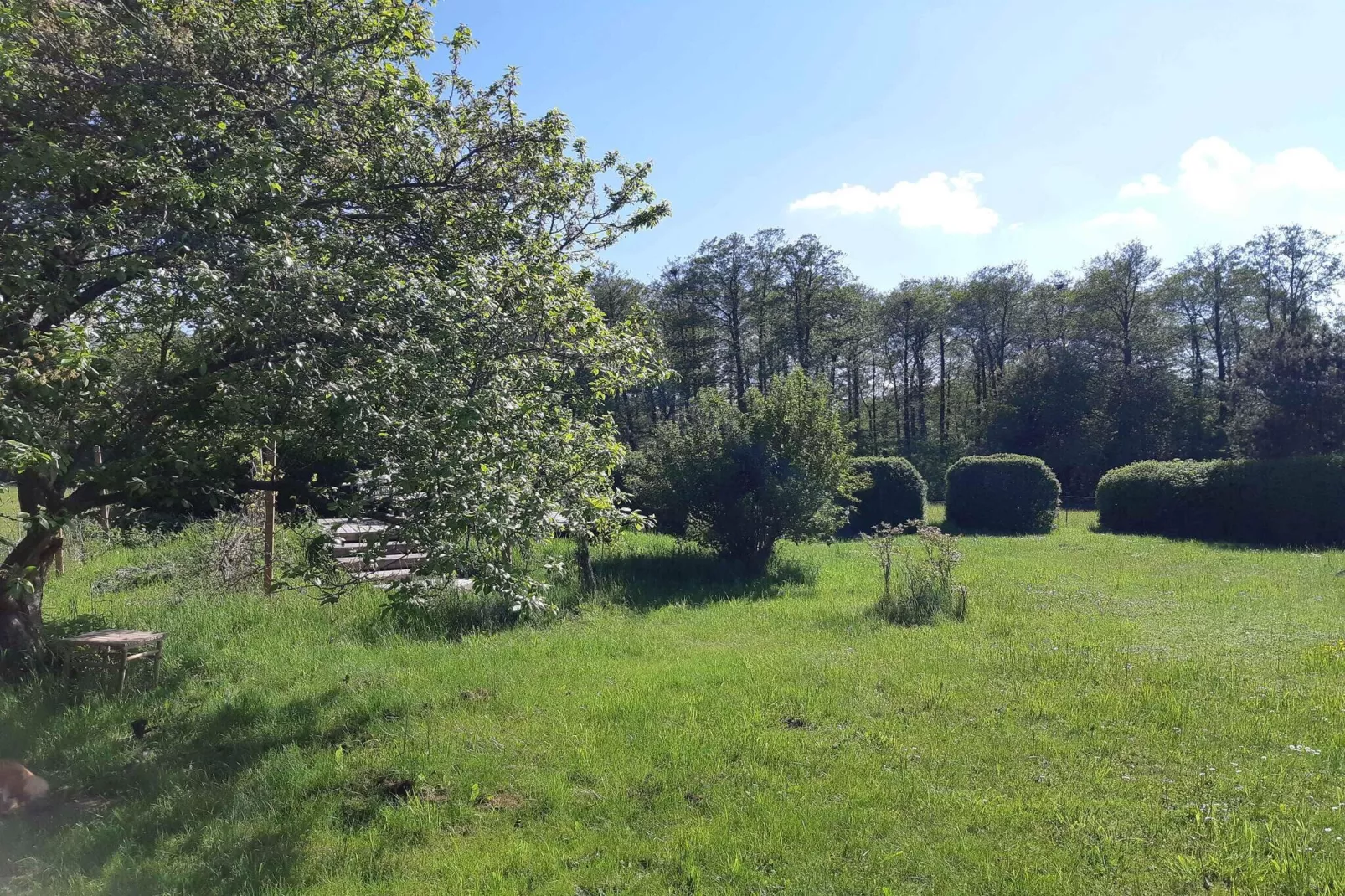 5 star holiday home in Kirke Hyllinge-Outdoor