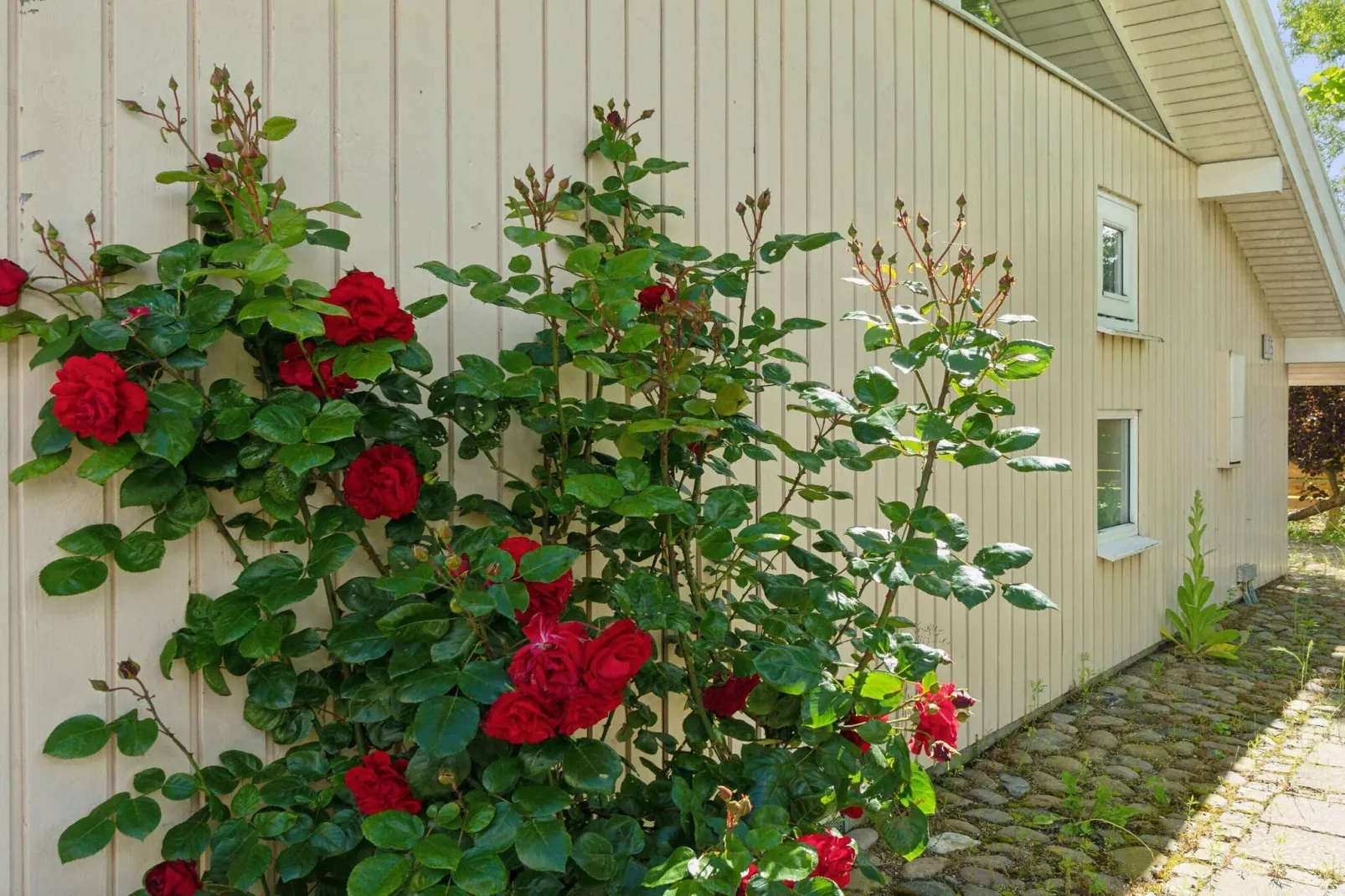 5 star holiday home in Strøby-Outdoor