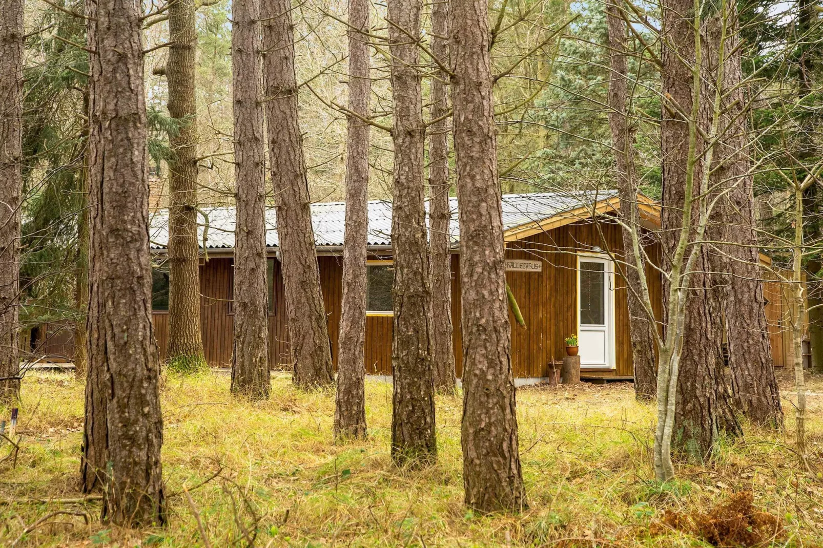 5 star holiday home in Store Fuglede-Outdoor