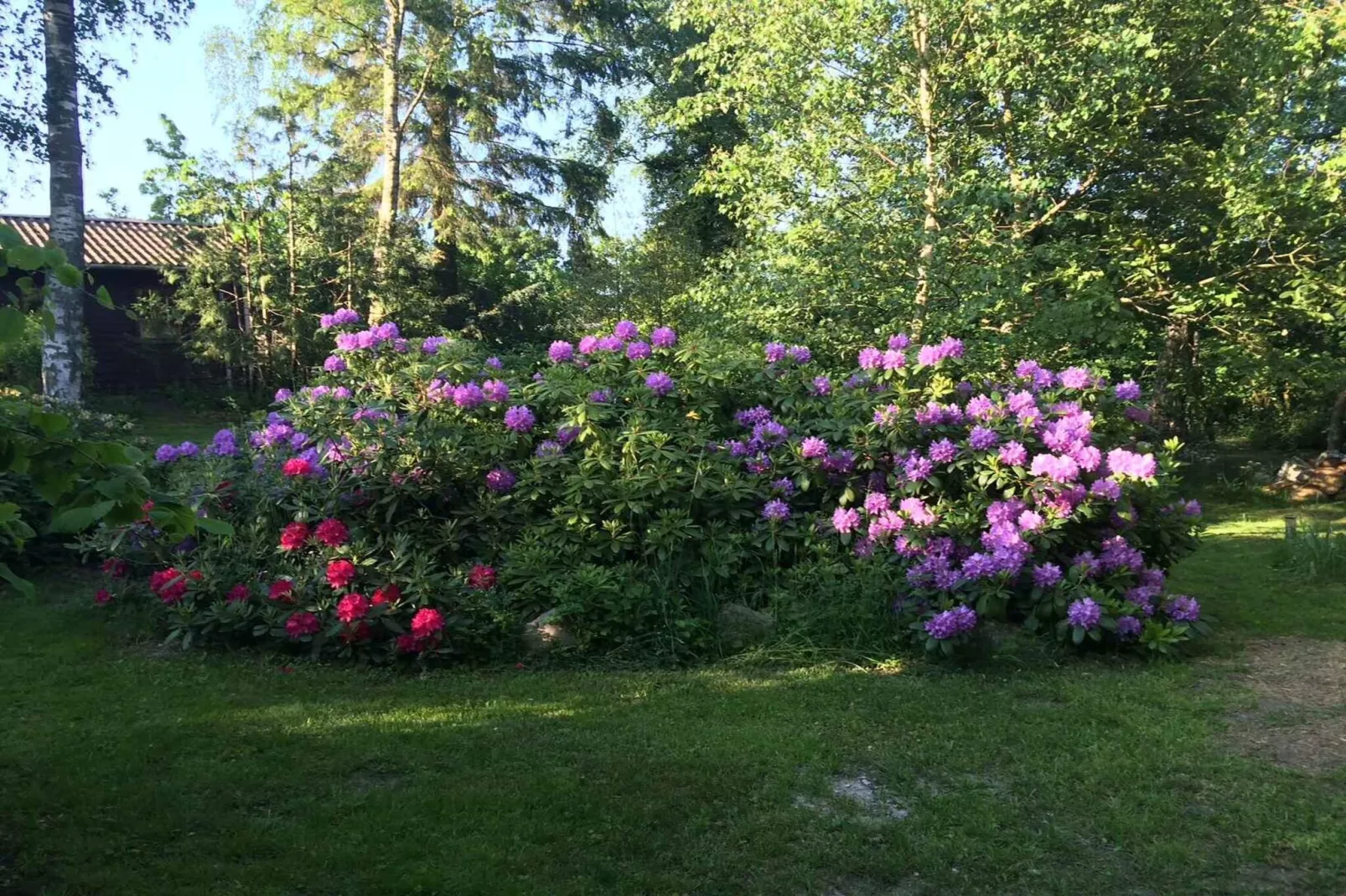 5 Sterne Ferienhaus in Fårevejle-Im Freien