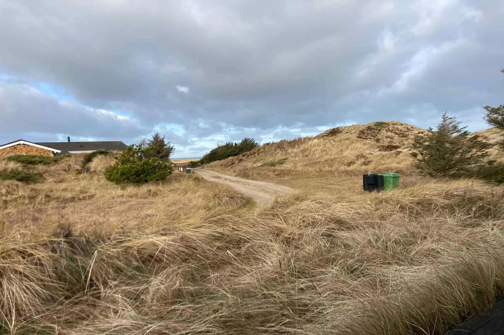 5 etoiles maison de vacances a Pandrup-Extérieur