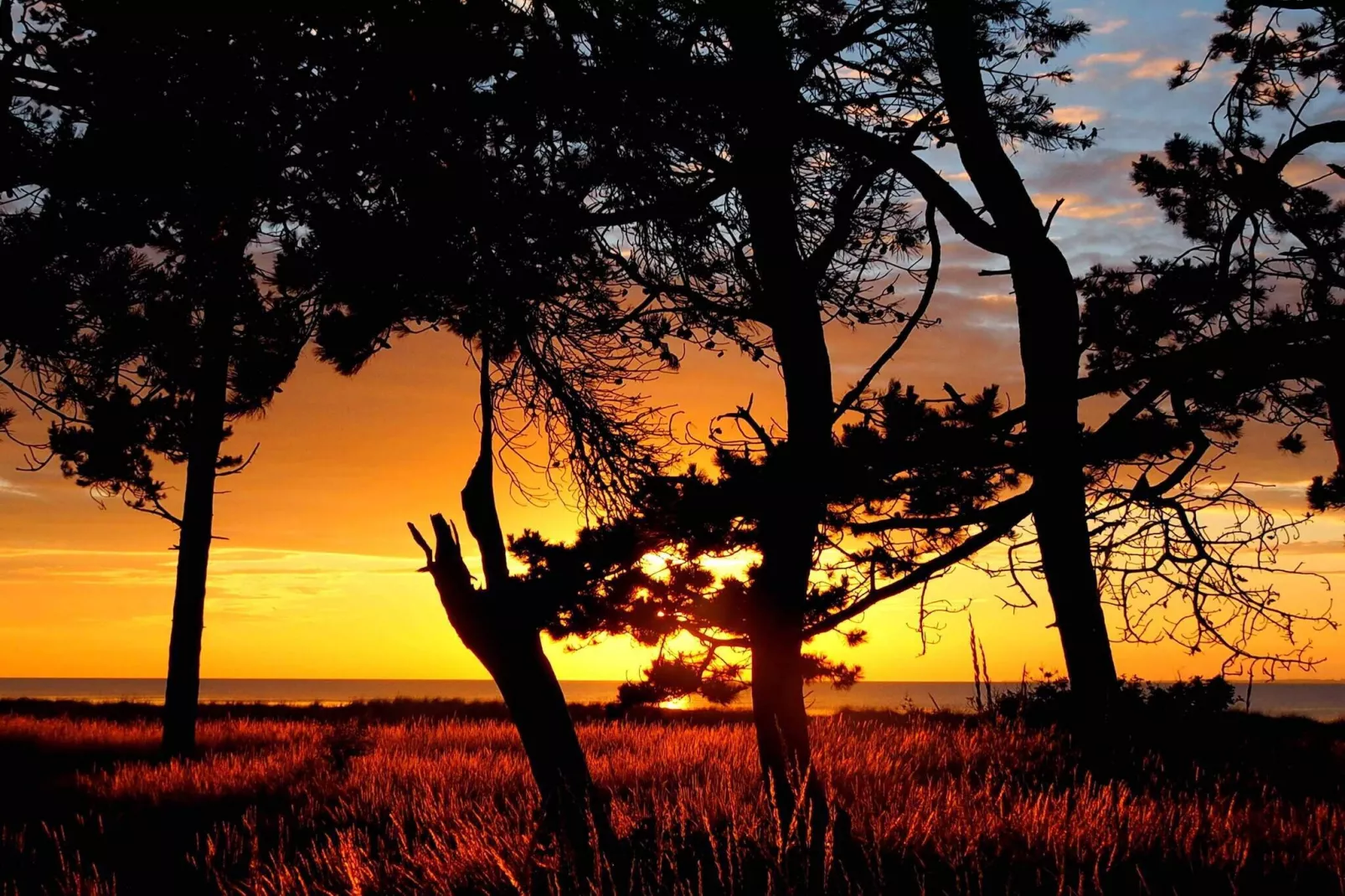 5 star holiday home in Asnæs-Outdoor