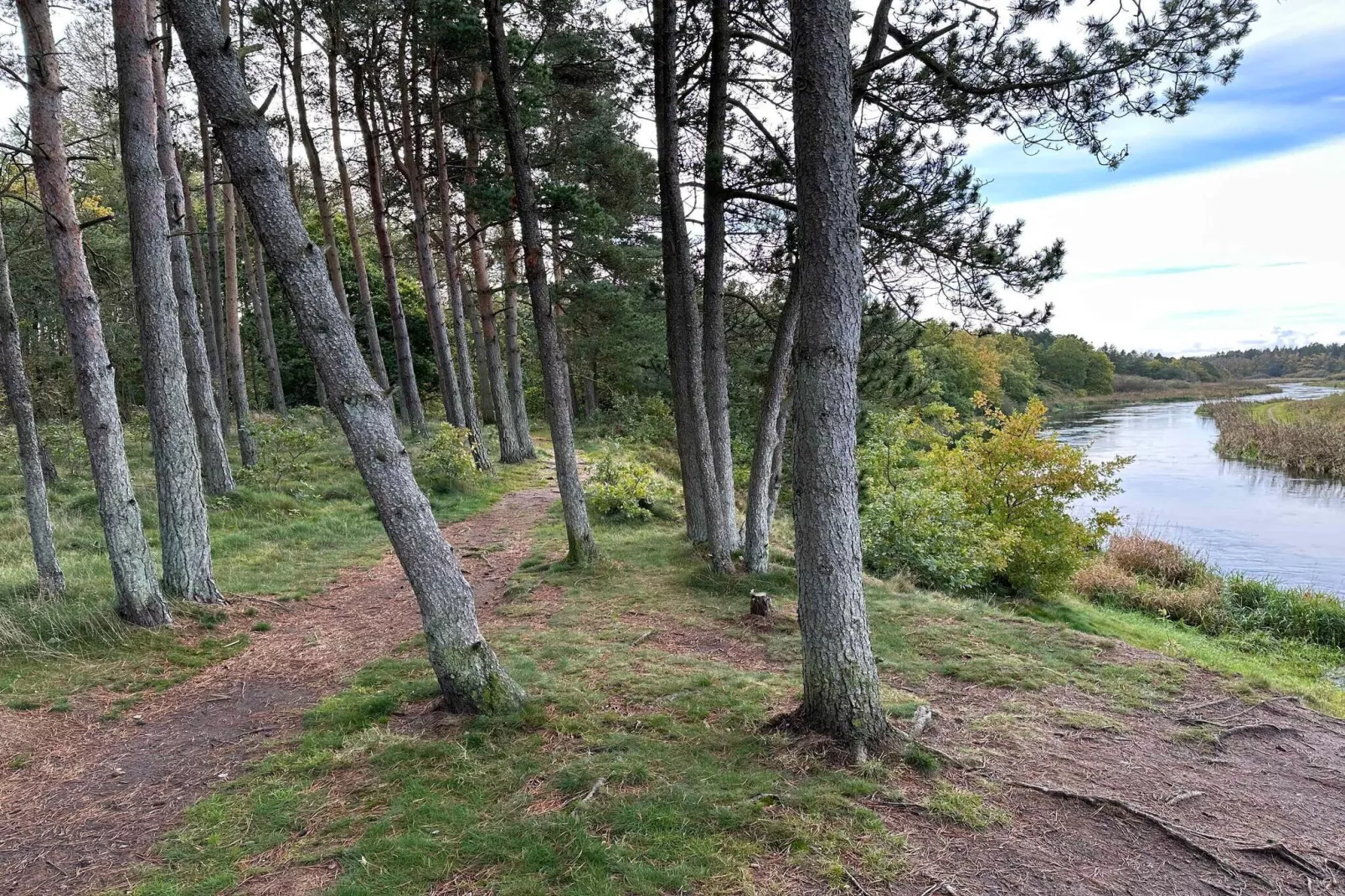 5 Sterne Ferienhaus in Fårvang-Im Freien