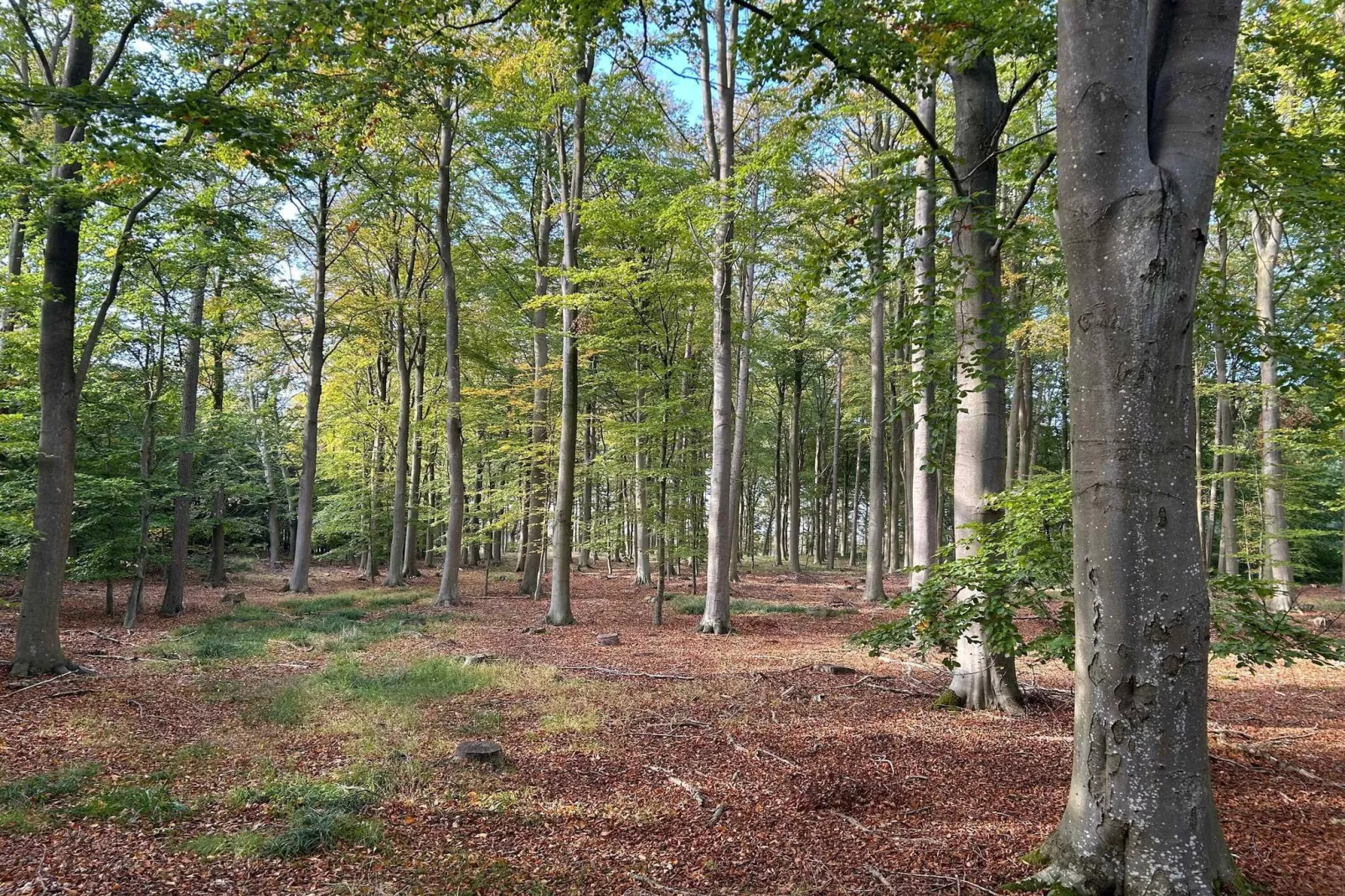 5 star holiday home in Nakskov-Untagged