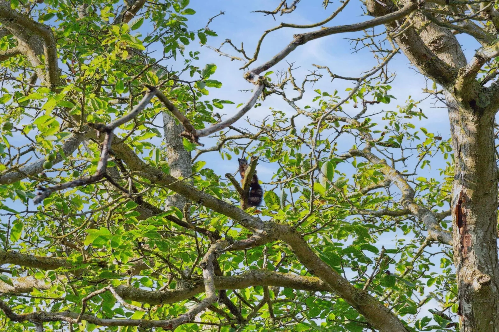 5 star holiday home in Ullerslev-Outdoor