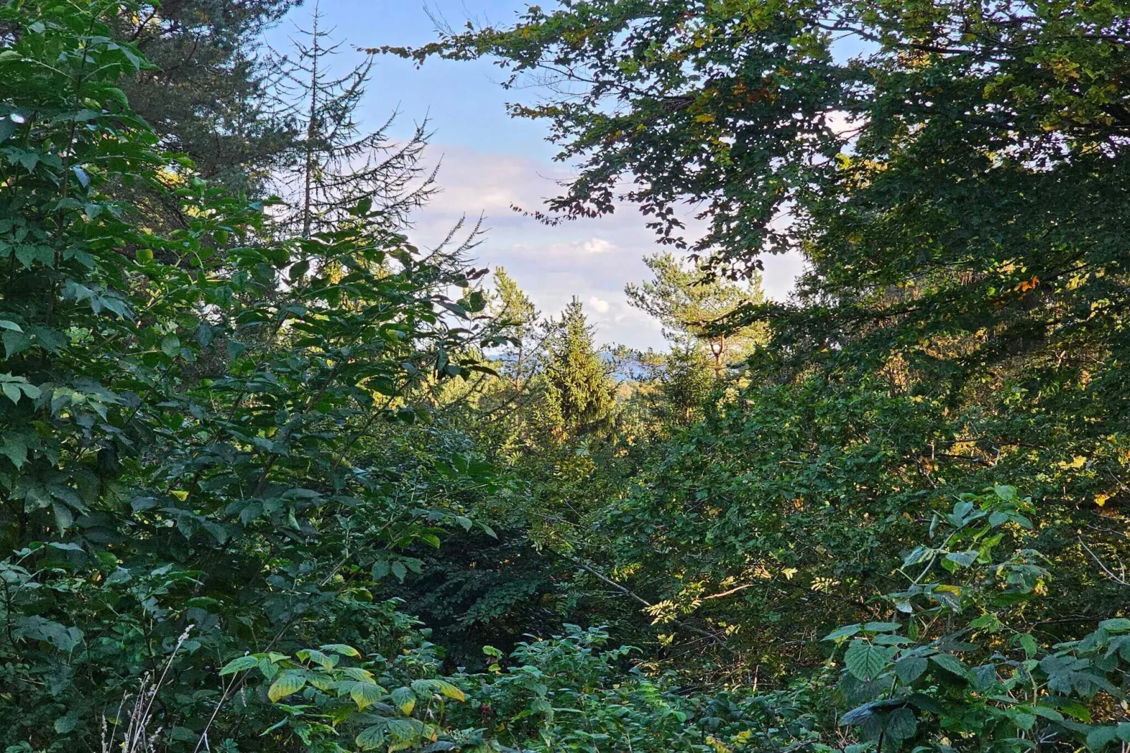 5 Sterne Ferienhaus in Ebeltoft-Im Freien