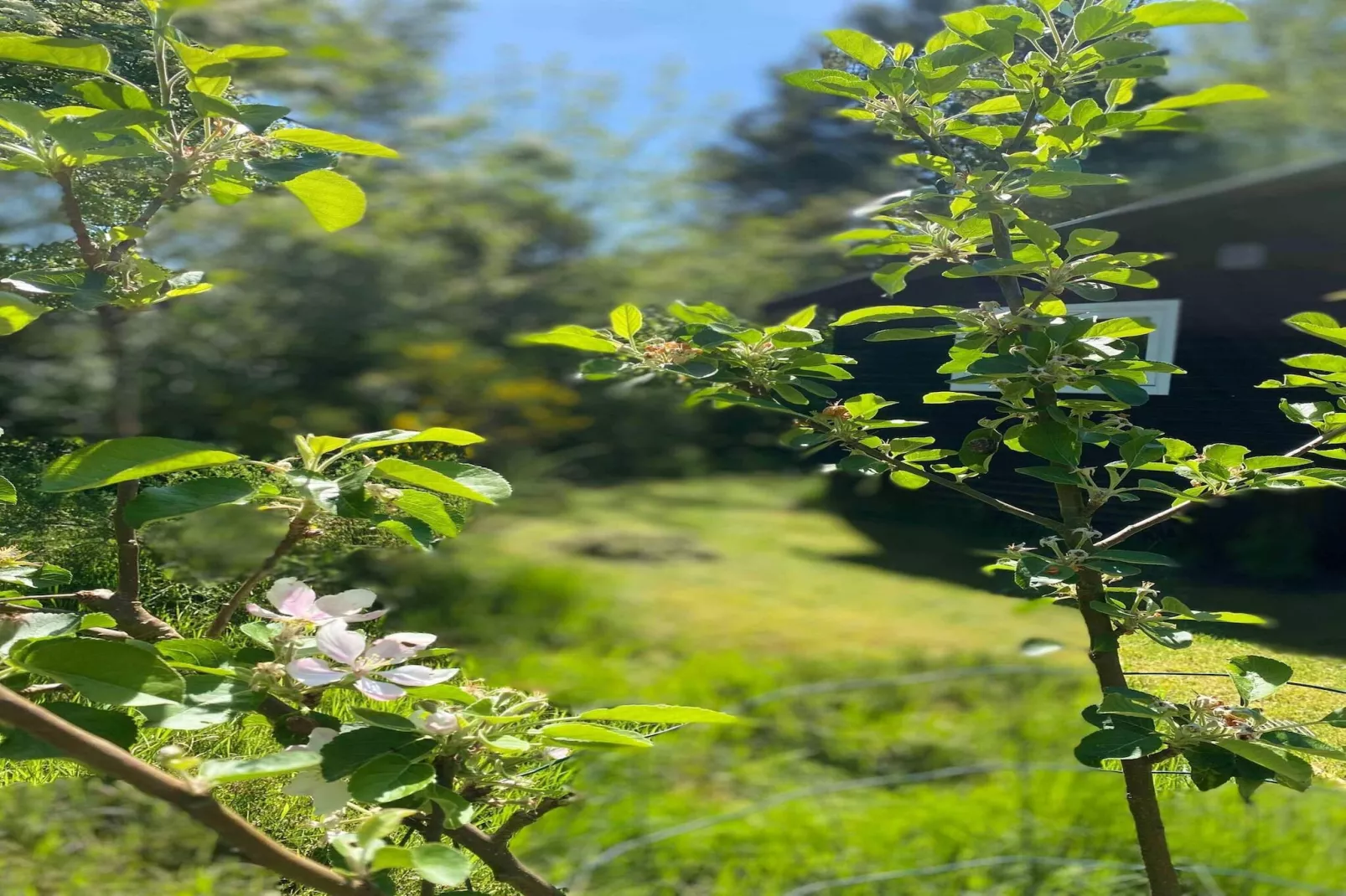 5 Sterne Ferienhaus in Gørlev-Nicht zugeordnet