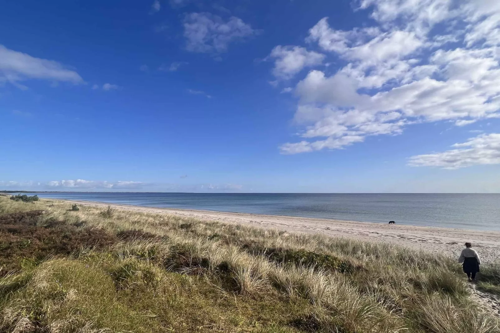 5 etoiles maison de vacances a Væggerløse-Non tagué