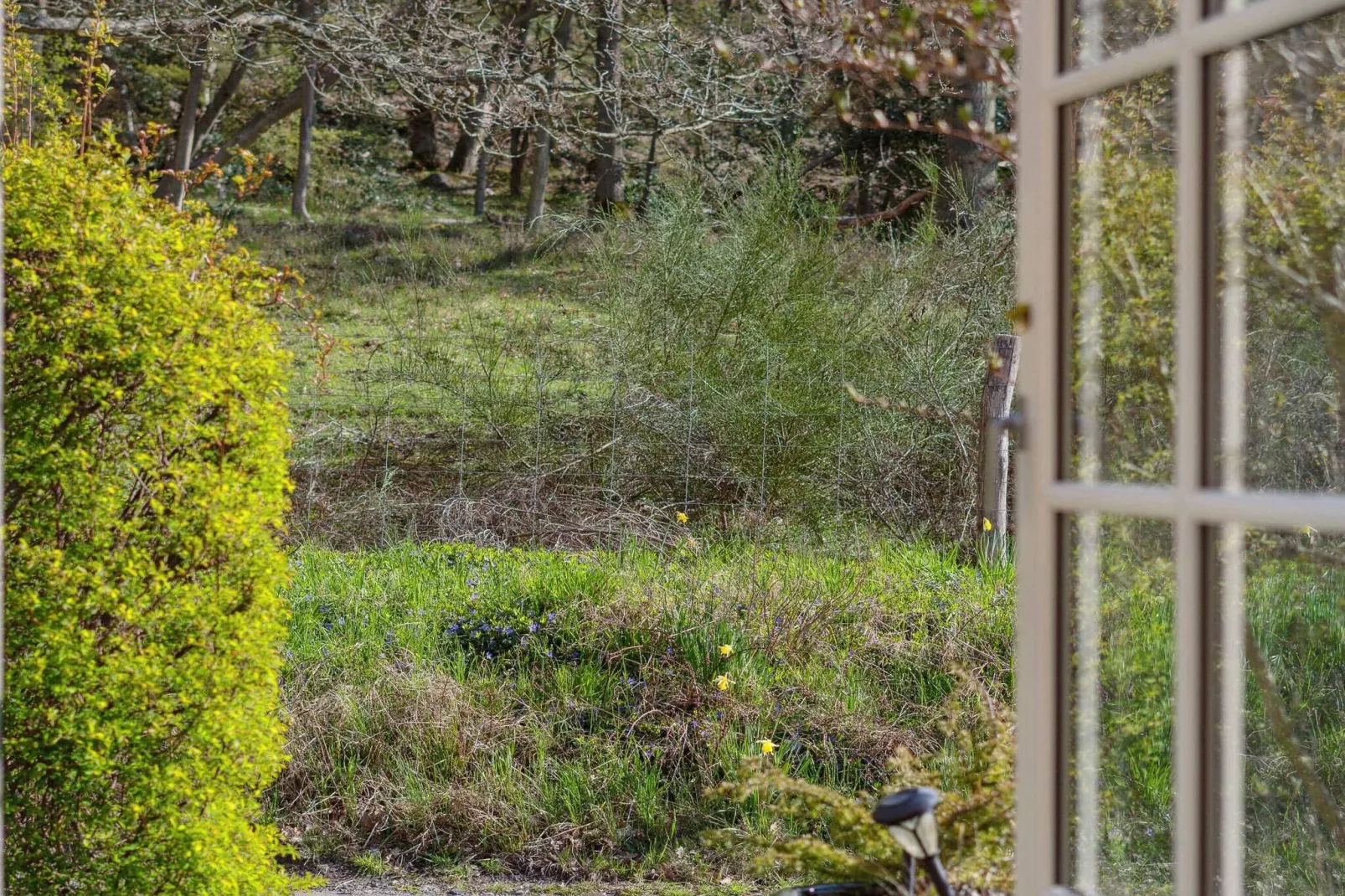 5 star holiday home in Allinge-Outdoor