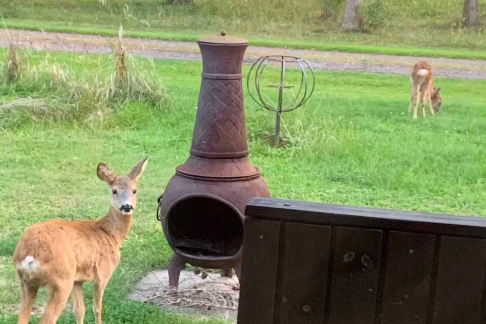 4 Sterne Ferienhaus in Nakskov-Nicht zugeordnet
