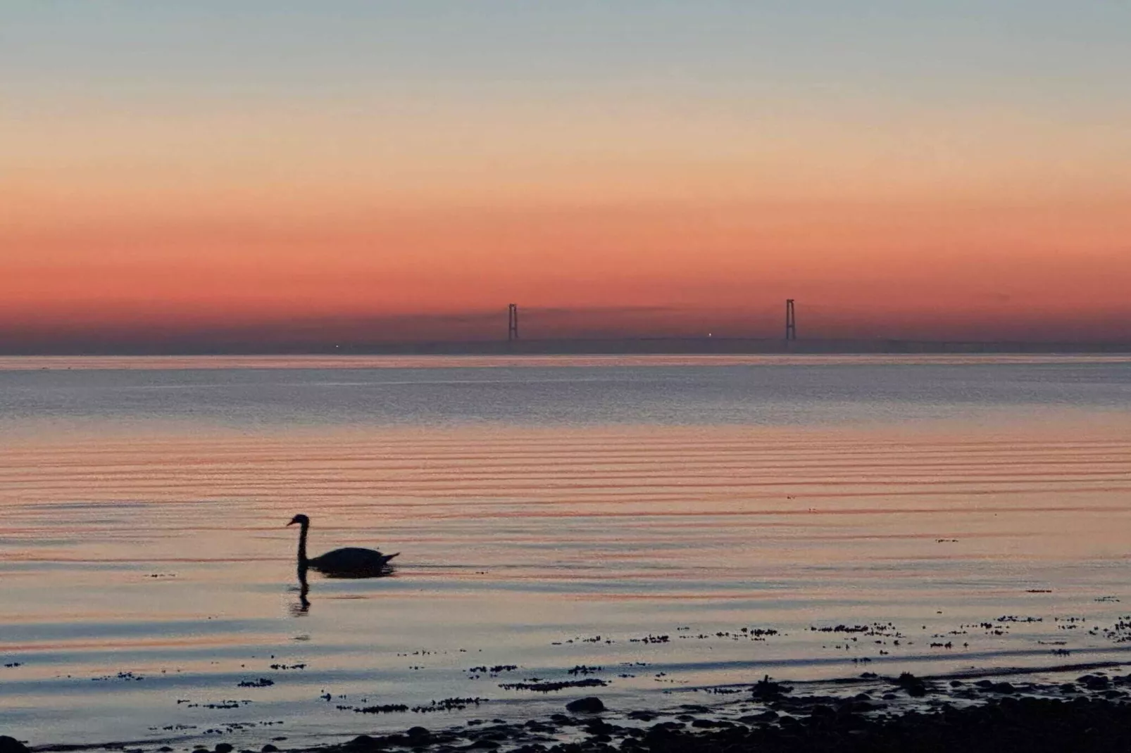 4 Sterne Ferienhaus in Skælskør-Wasserblick