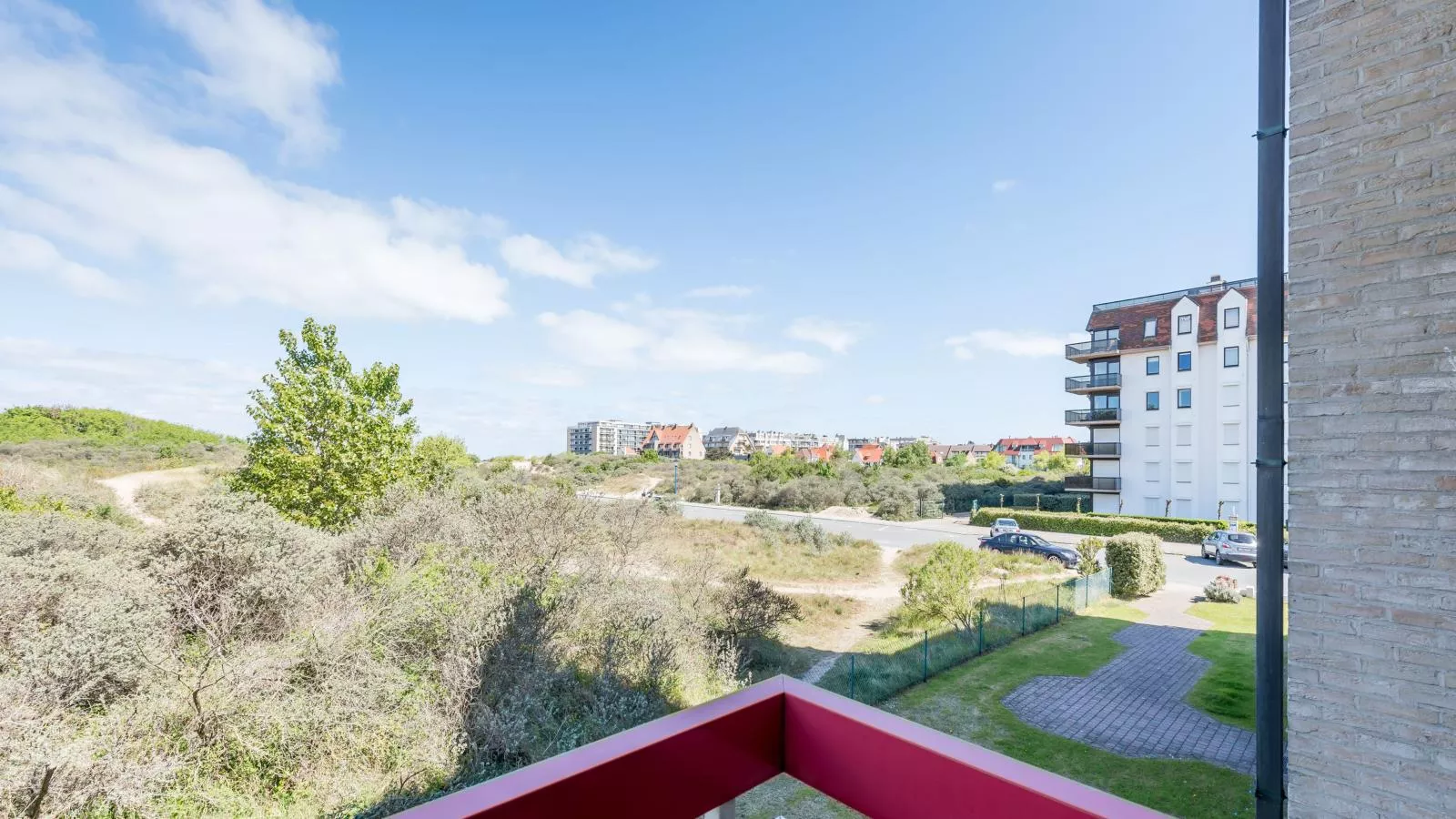 Aubépine premier-View in summer