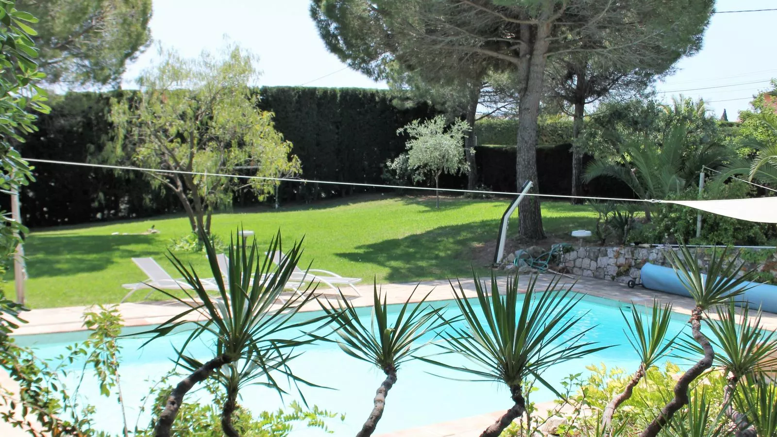 Les Palmiers-Swimming pool