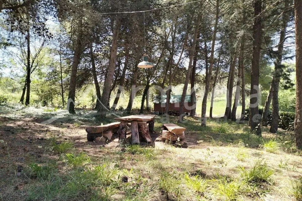 561526-Nicht zugeordnet