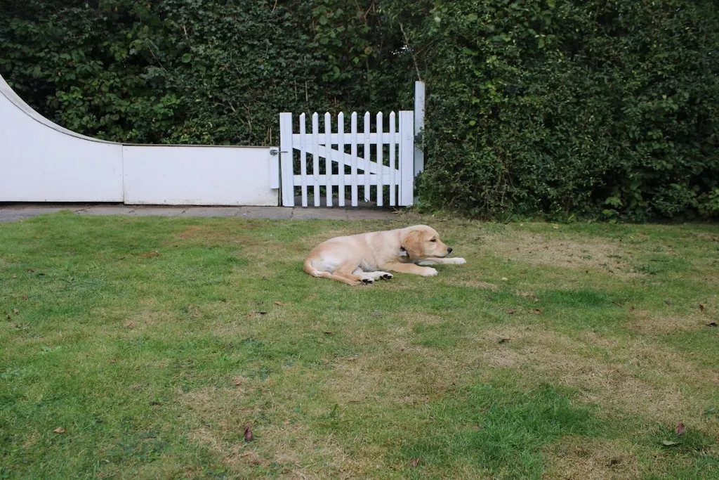 3000-Nicht zugeordnet