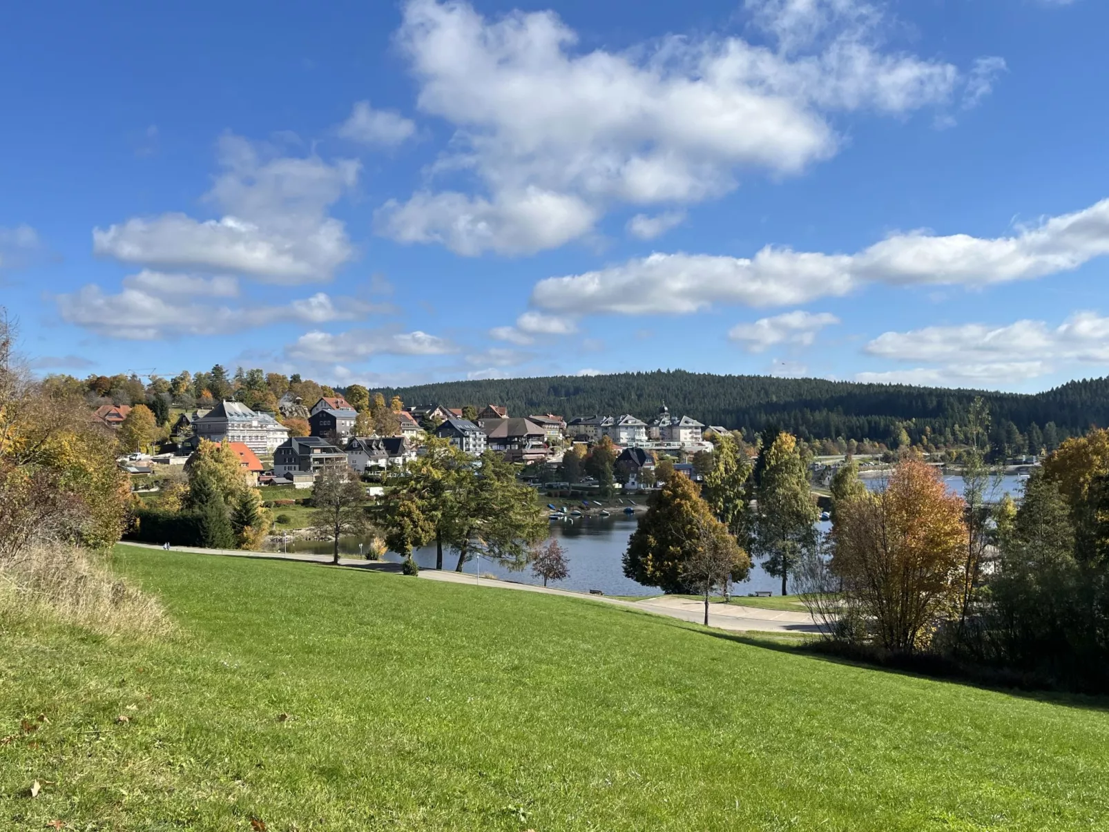 Sonnige Aussichten-Draußen