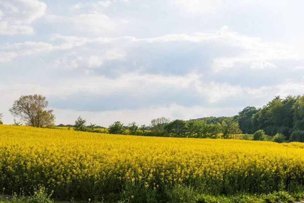 17823-Nicht zugeordnet