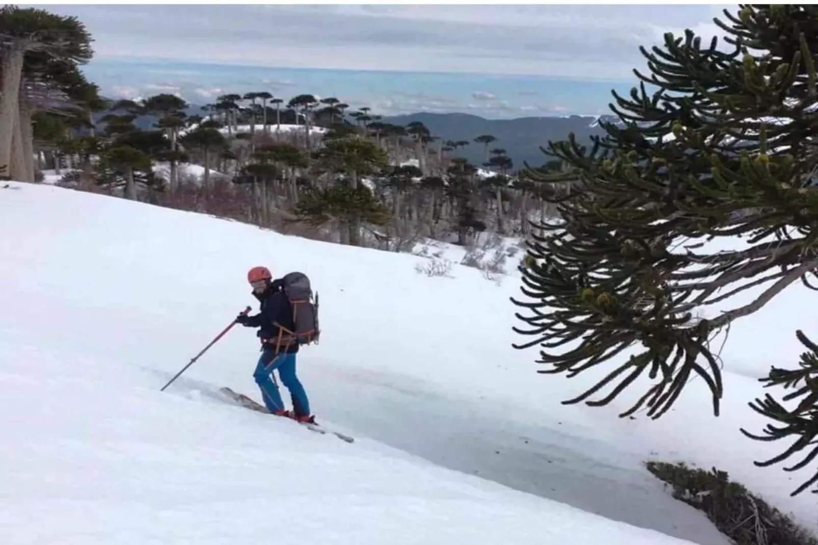 1360-Andres-312-Gebiet Winter 5 km