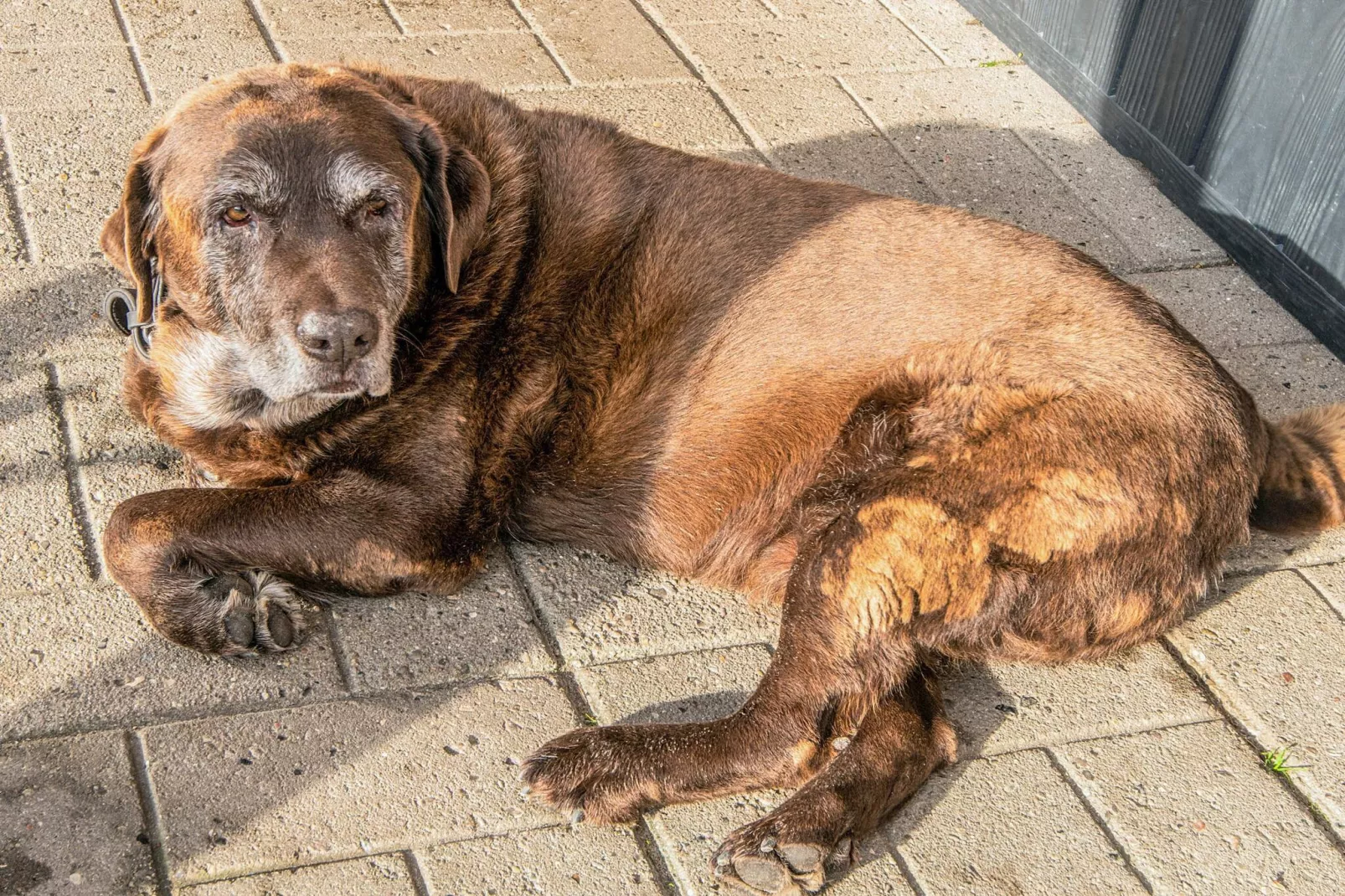4 Personen Ferienhaus in Højer-Nicht zugeordnet