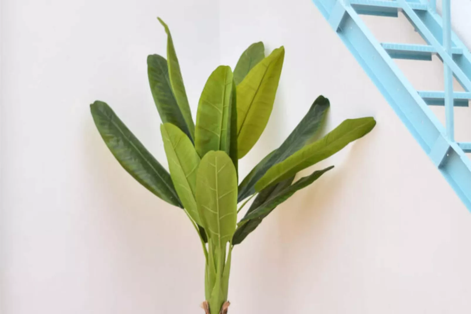 Maison à Moncofar-Non tagué