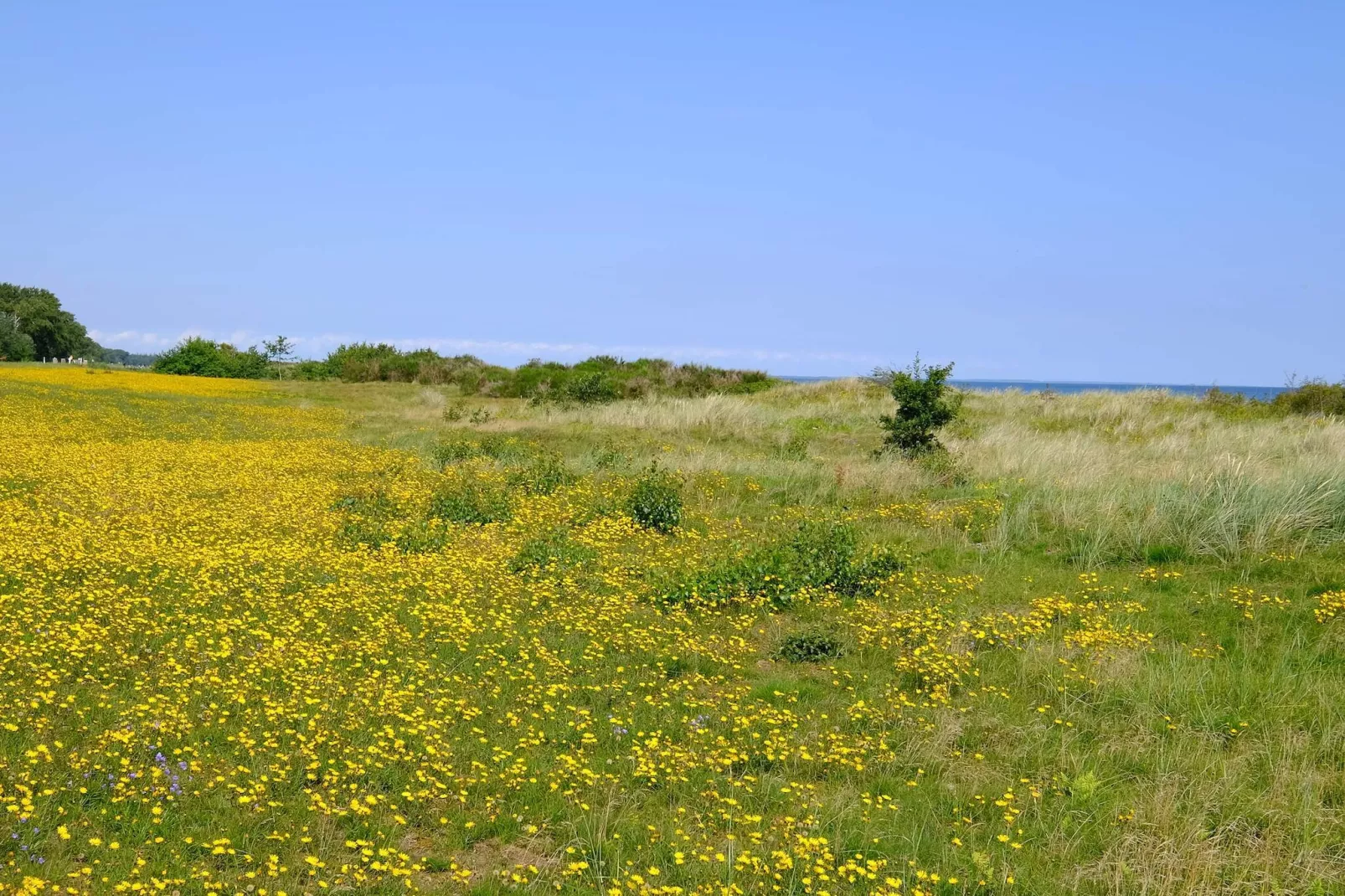Maison de vacances pour 4 a Gedser-Non tagué