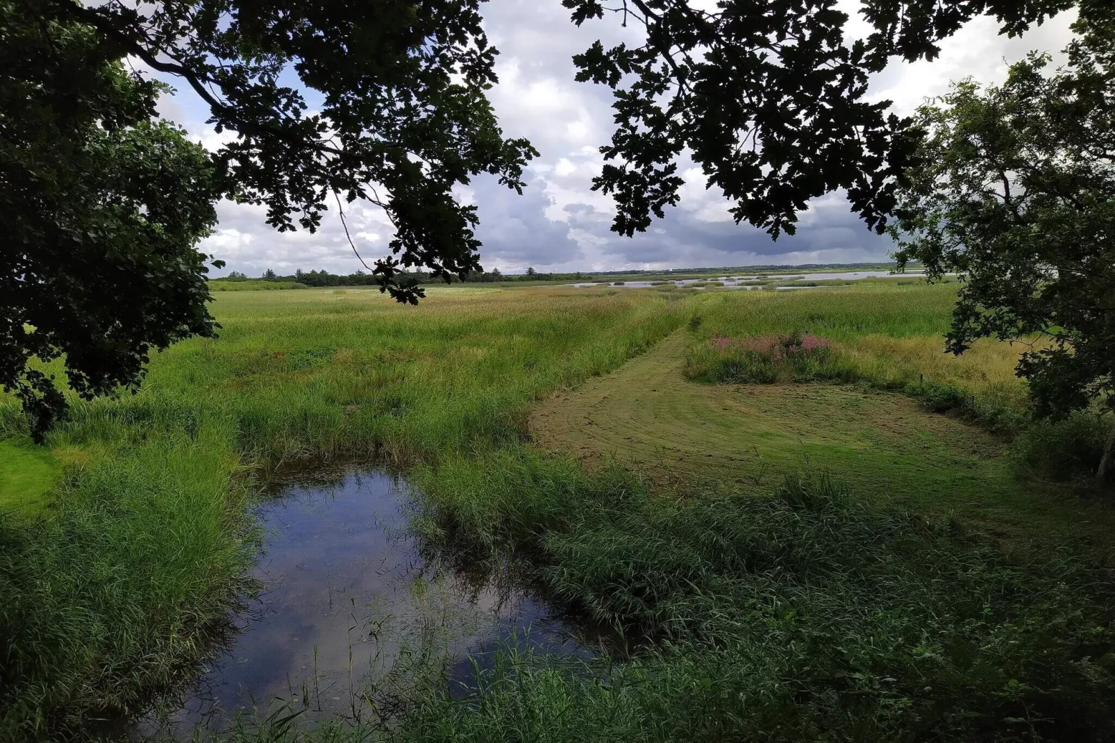 6 person holiday home in Ulfborg-Water view