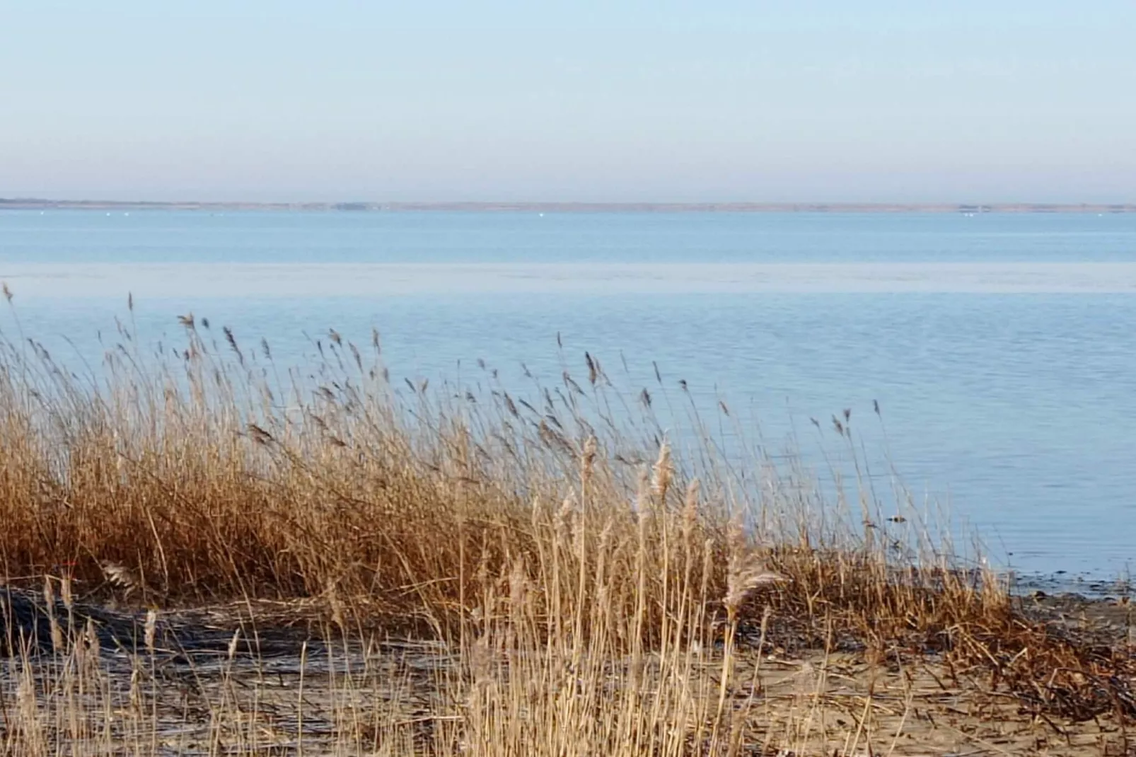 Maison de vacances pour 6 a Vemb-Vue sur l'eau