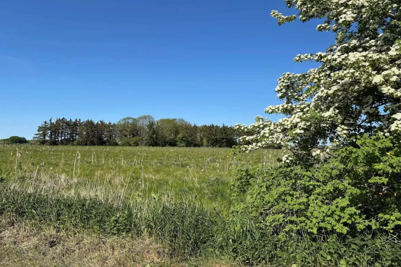 Maison de vacances pour 8 a Sydals-Non tagué