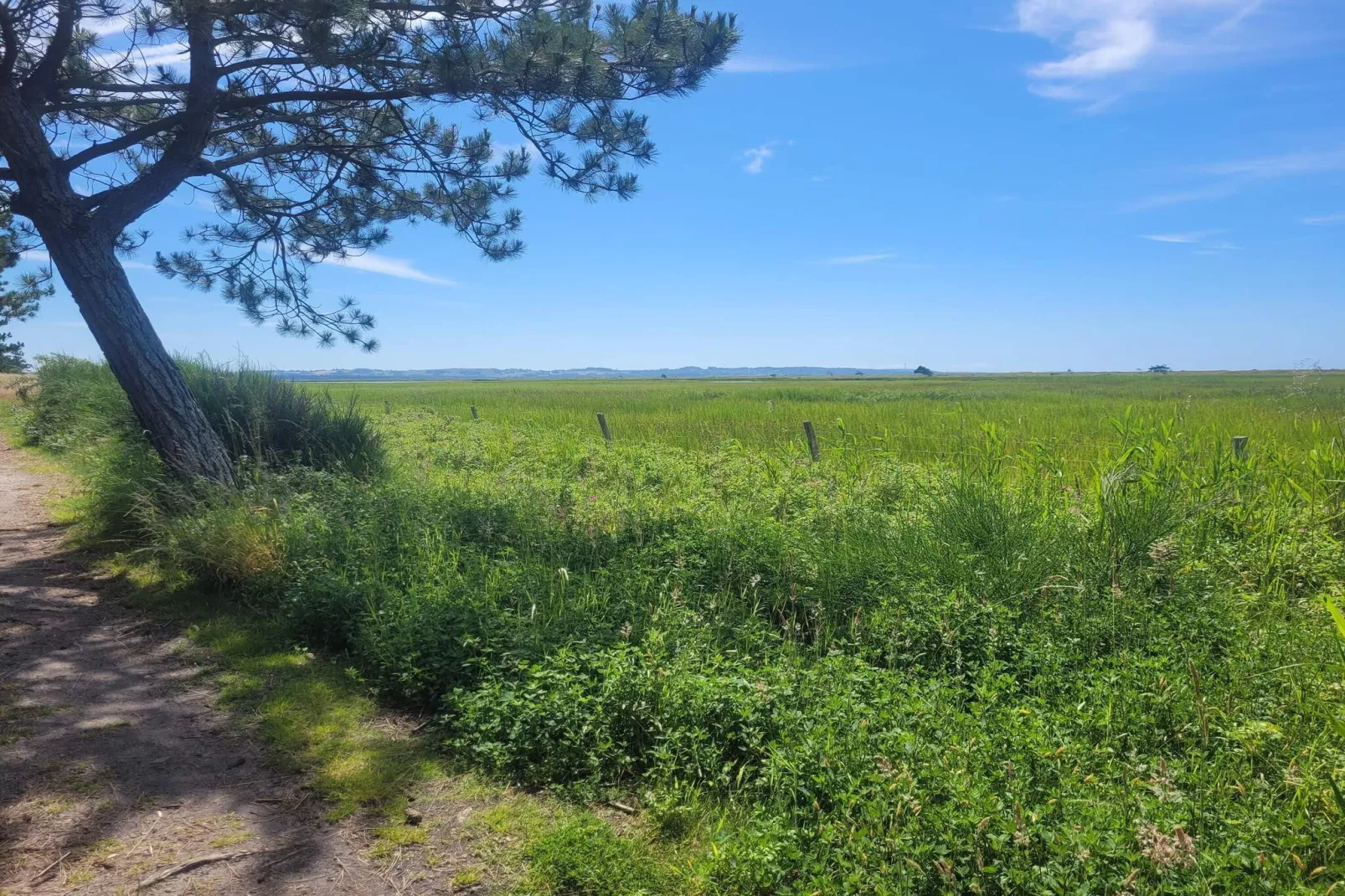 6 Personen Ferienhaus in Højby-Nicht zugeordnet
