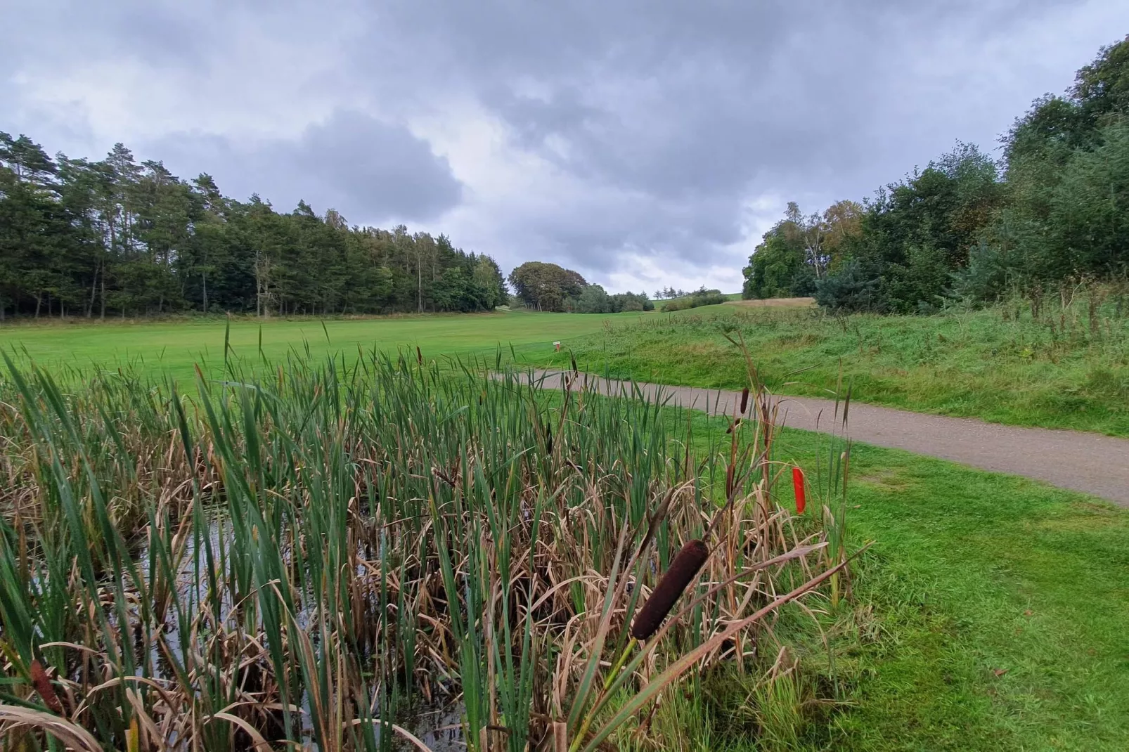 8 person holiday home in Gjern-Untagged