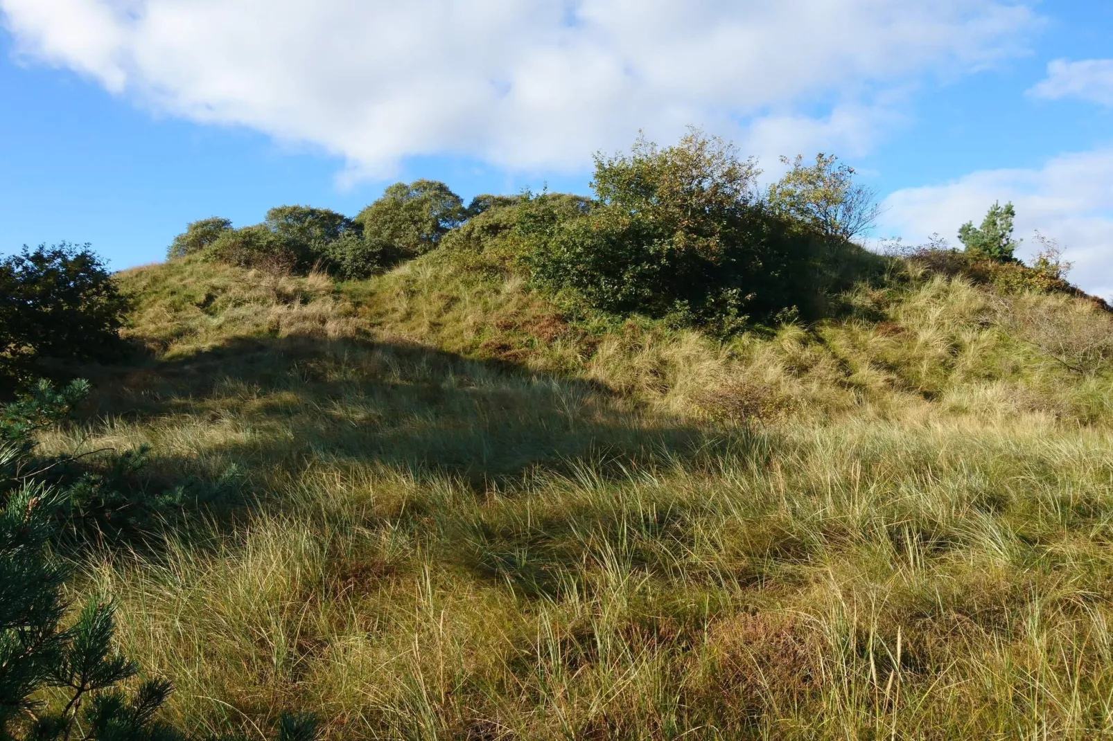 Tranquil Thatched Cottage on Romo-By Traum-Untagged
