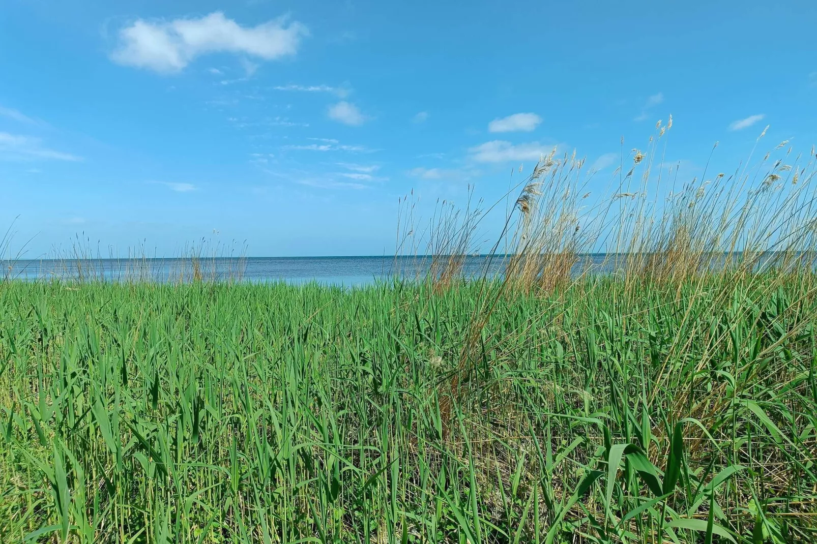 Charme cotier a Boged-By Traum-Vue sur l'eau