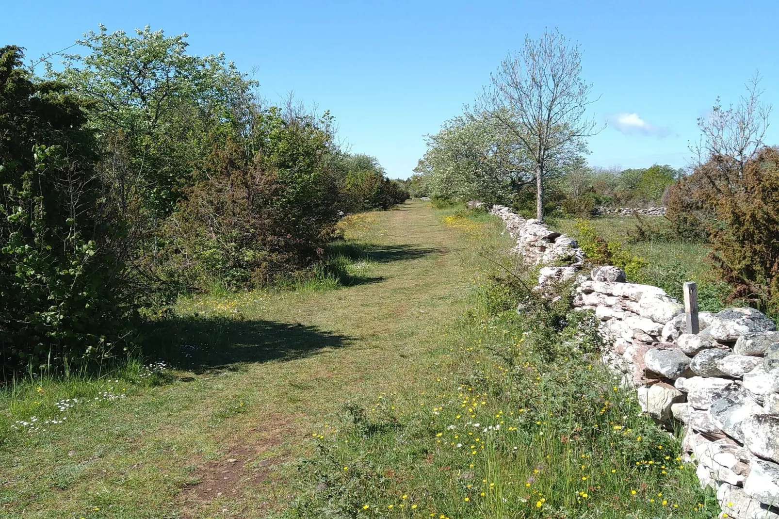 10 person holiday home in FÄRJESTADEN-Untagged