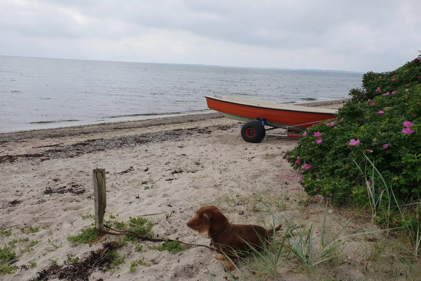 4 person holiday home in Haderslev-Water view