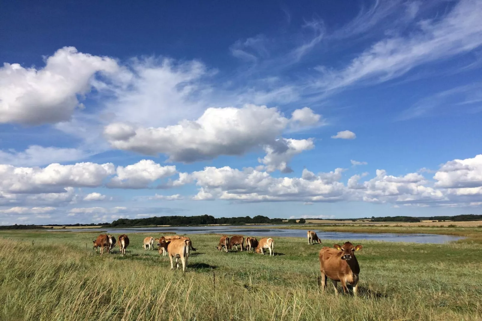 4 Personen Ferienhaus in Assens-Nicht zugeordnet