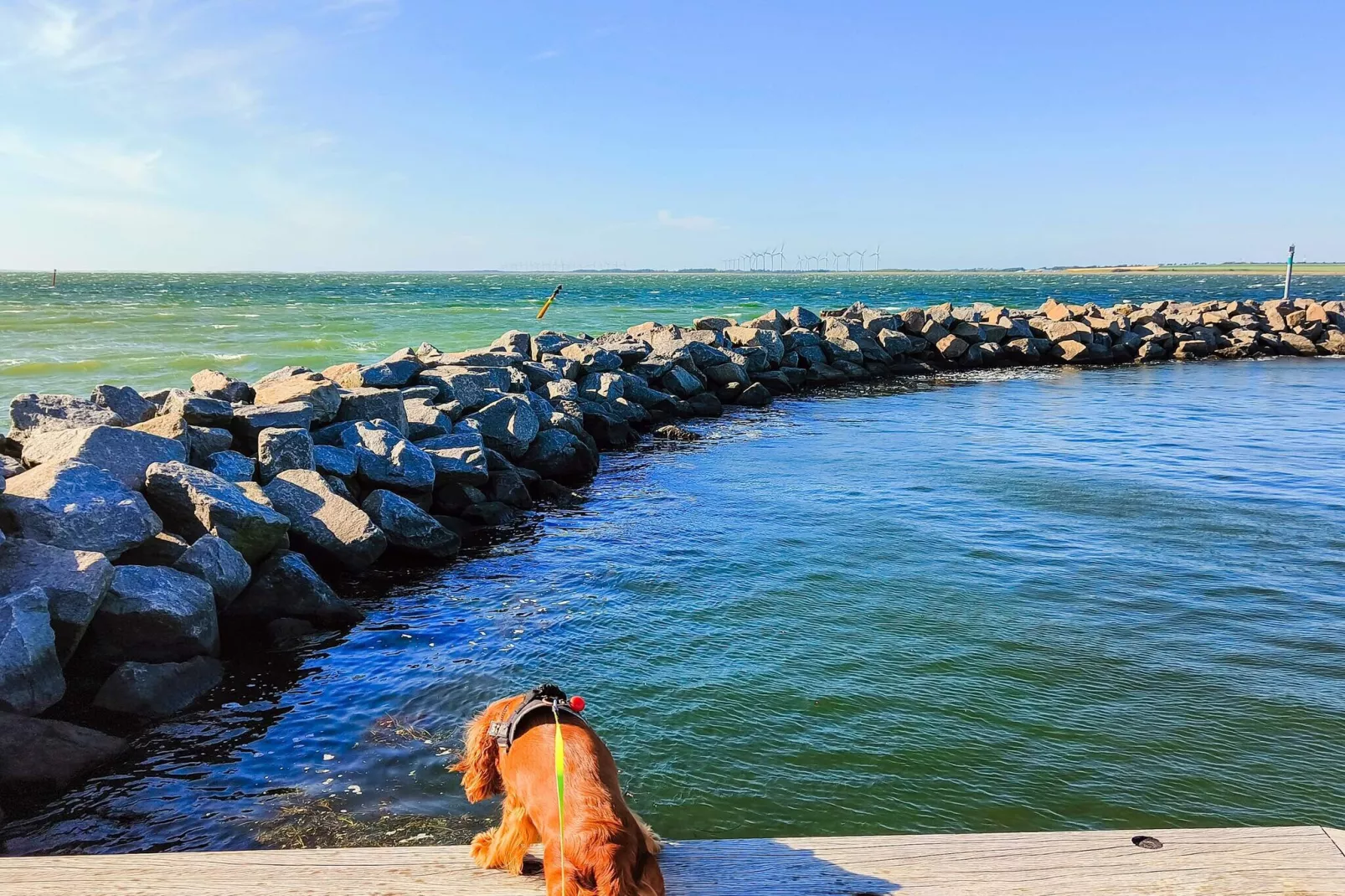 5 Personen Ferienhaus in Løgstør-Wasserblick