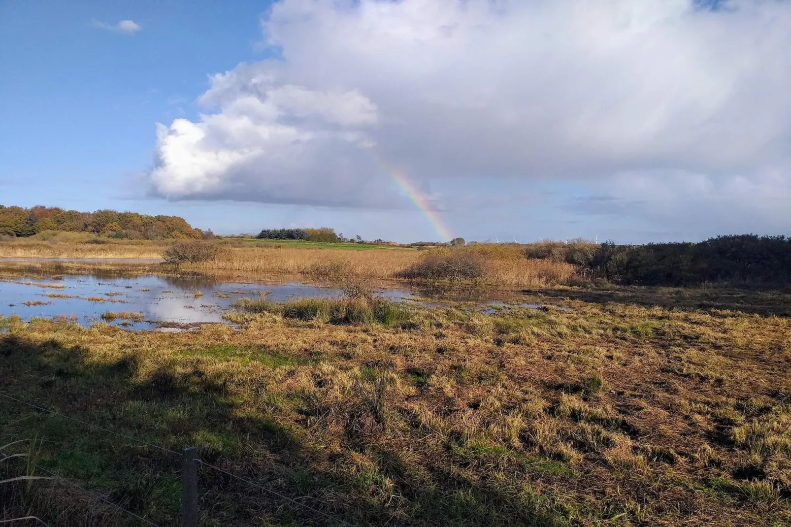 Maison de vacances pour 4 a Bøvlingbjerg-Vue sur l'eau
