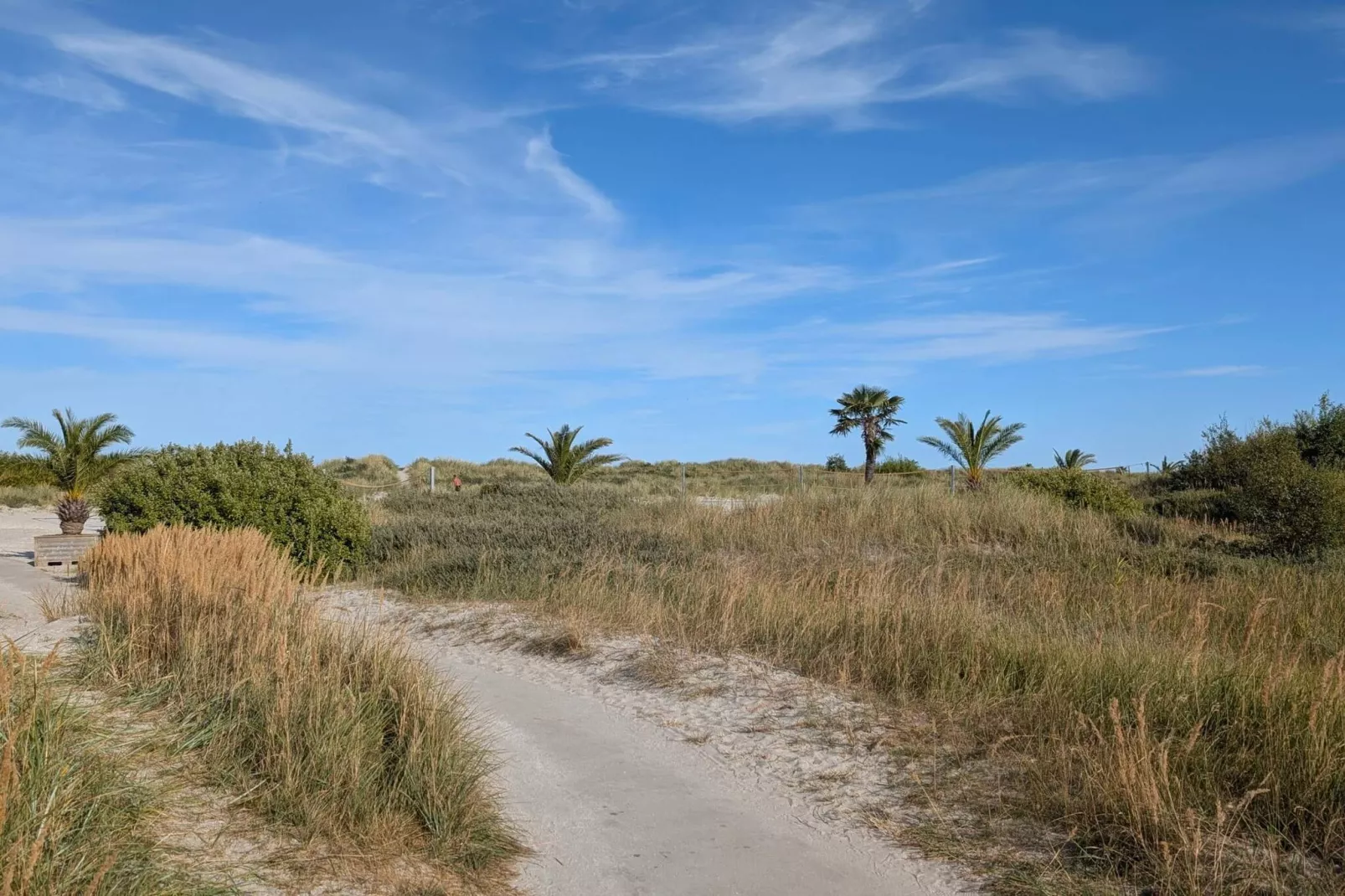 7 person holiday home in Frederikshavn-Untagged