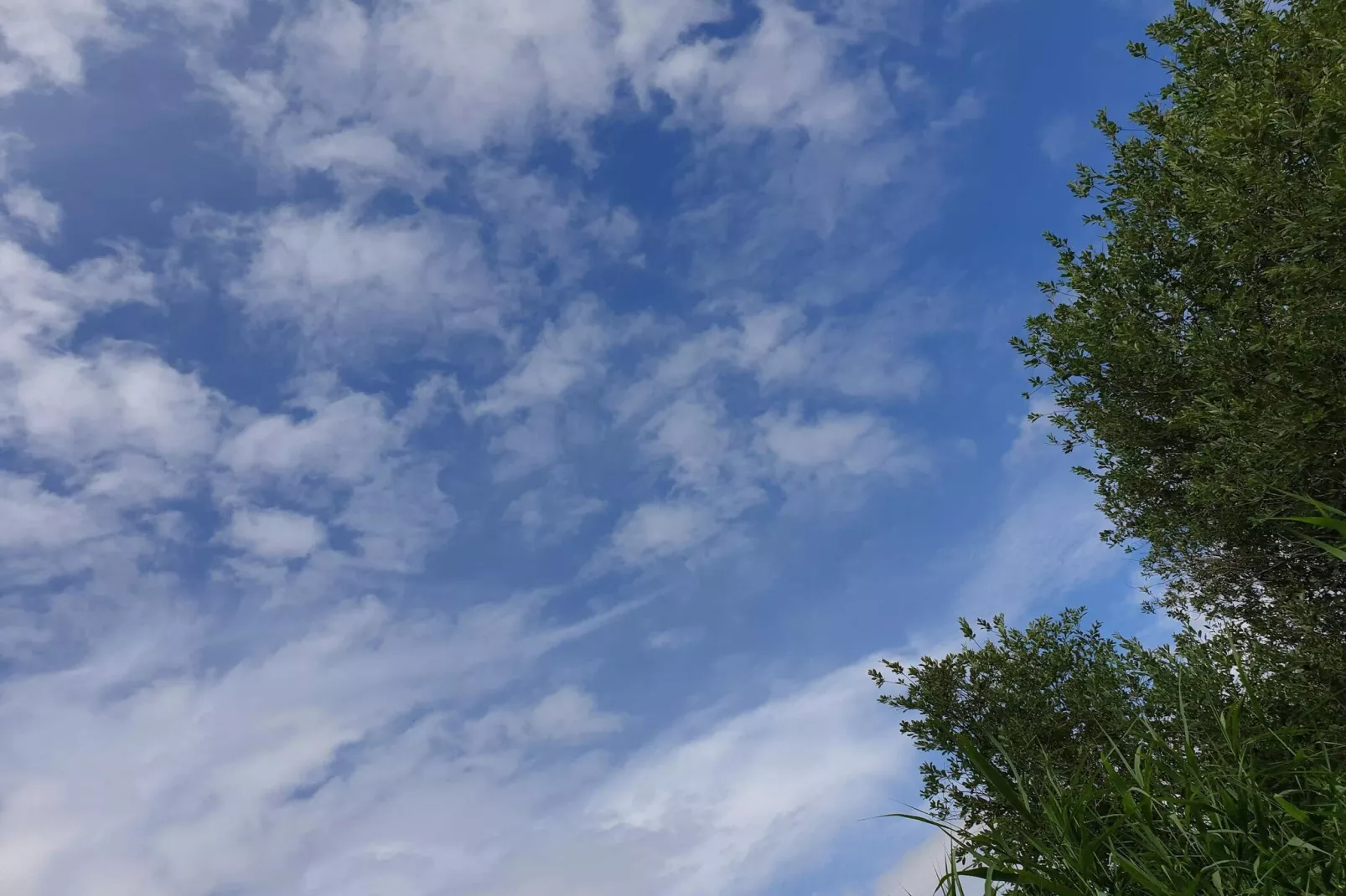 Maison de vacances pour 6 a Ebeltoft-Non tagué