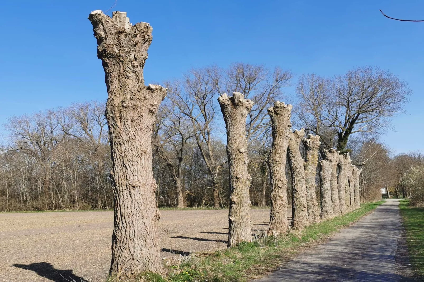 5 person holiday home in Holeby-Untagged