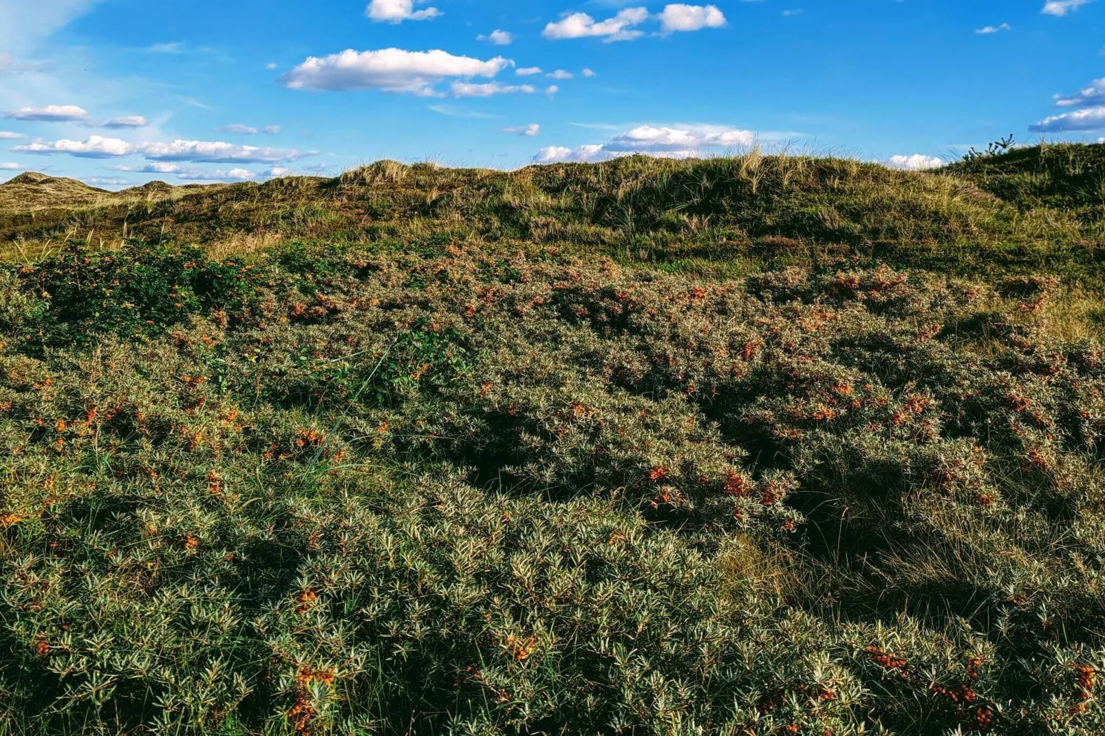 6 person holiday home in Nørre Nebel-Untagged